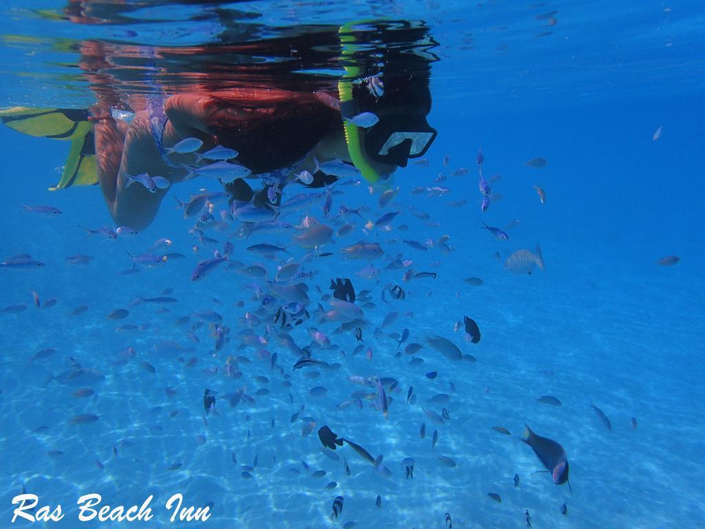 Ras Beach Inn Rasdhoo Buitenkant foto
