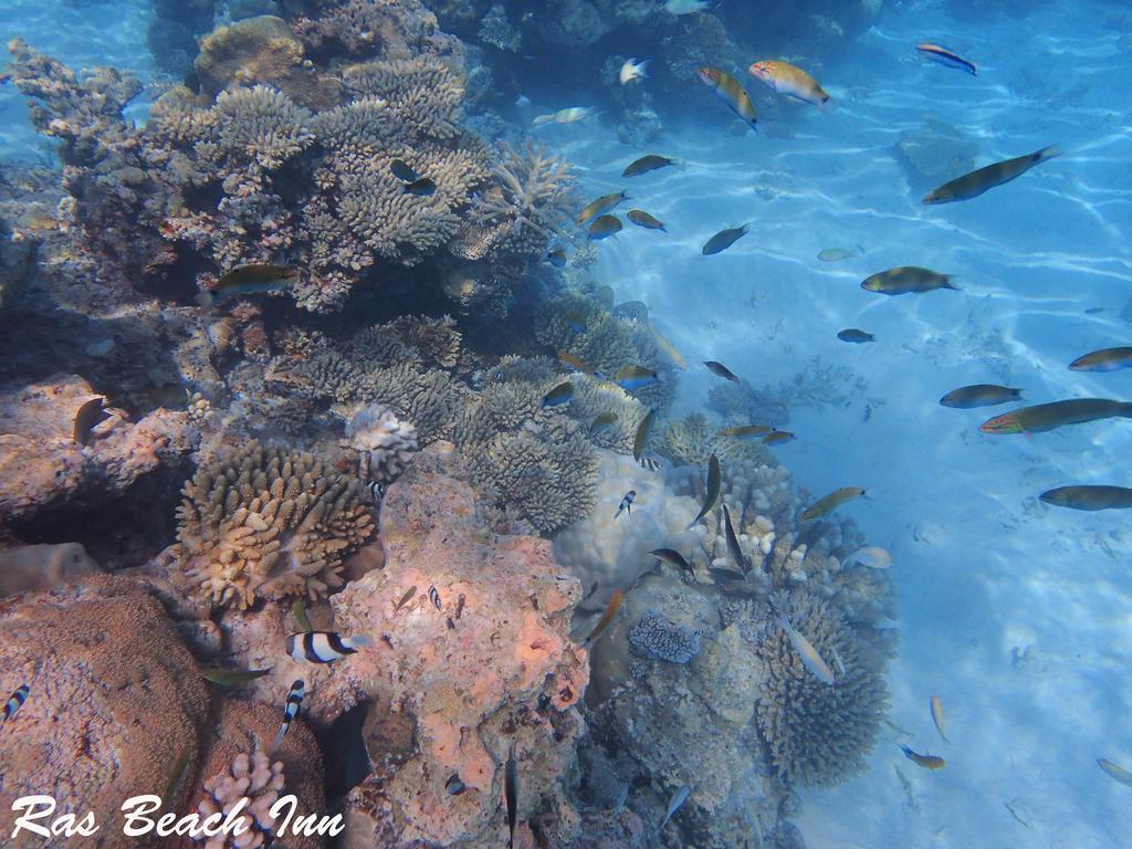 Ras Beach Inn Rasdhoo Buitenkant foto