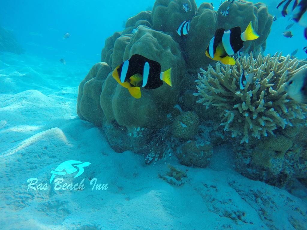 Ras Beach Inn Rasdhoo Buitenkant foto