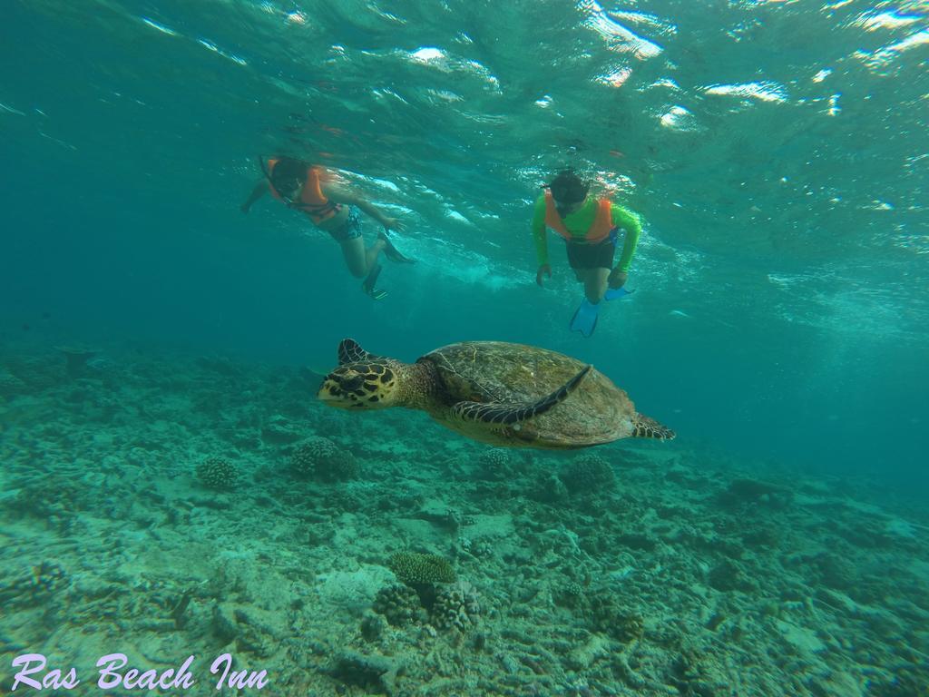 Ras Beach Inn Rasdhoo Buitenkant foto