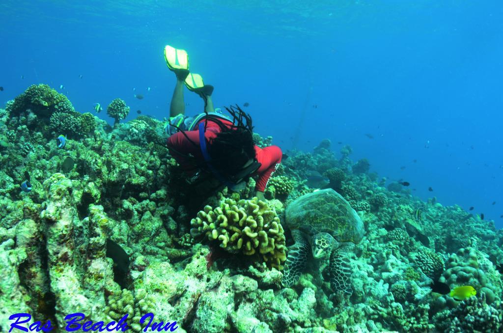Ras Beach Inn Rasdhoo Buitenkant foto