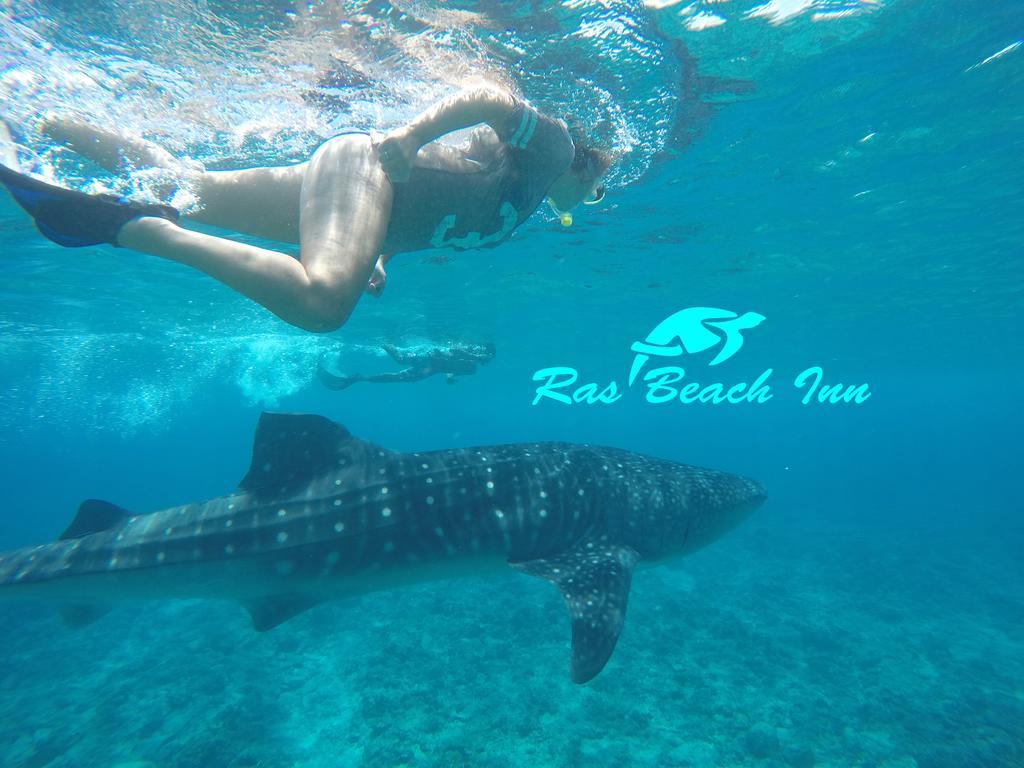 Ras Beach Inn Rasdhoo Buitenkant foto